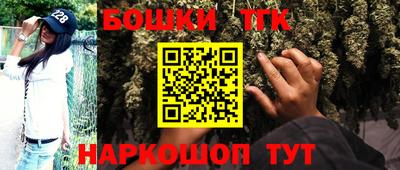 тгк Будённовск