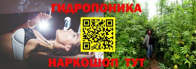 тгк Будённовск