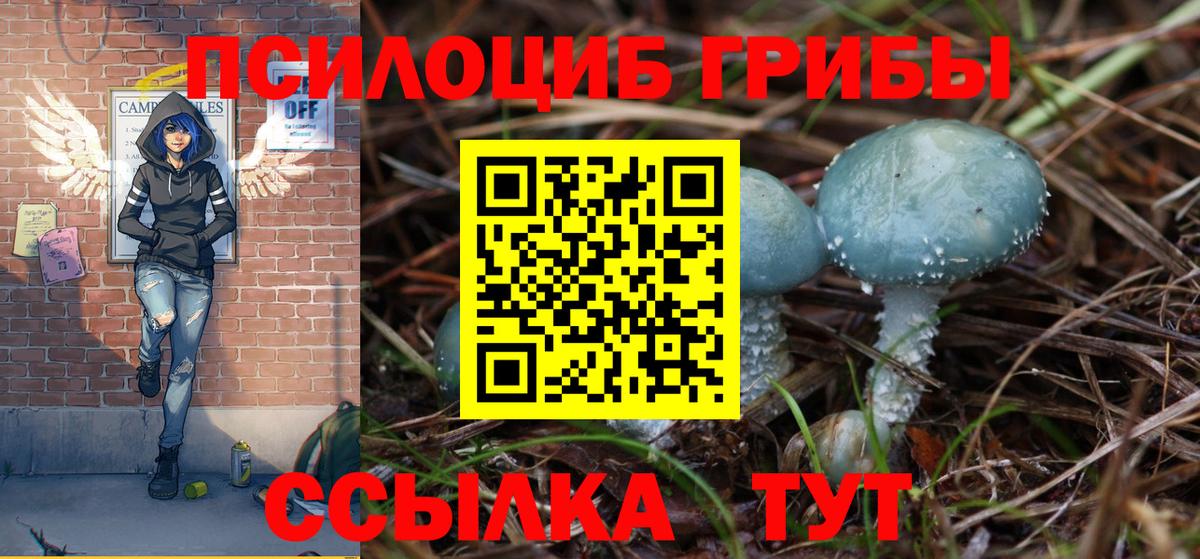 Галлюциногенные грибы Magic Shrooms Шали