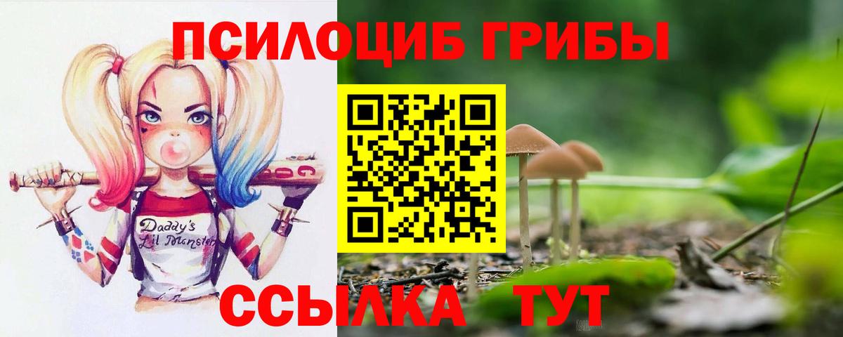 Галлюциногенные грибы прущие грибы  Псилоцибиновые грибы GOLDEN TEACHER  Шали  Вход с VPN 